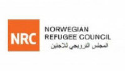 النرويجي يحذر من إصابة ملايين اليمنيين بكورونا	 